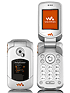 W300i